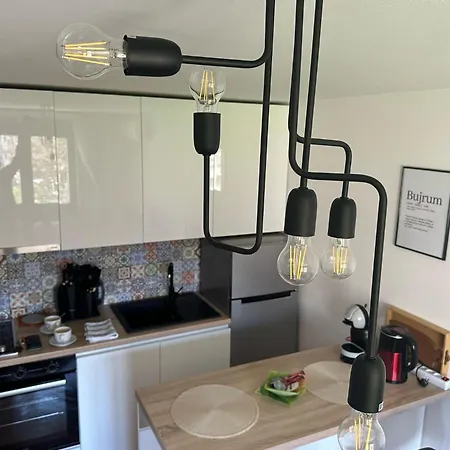 Mercury Apartment